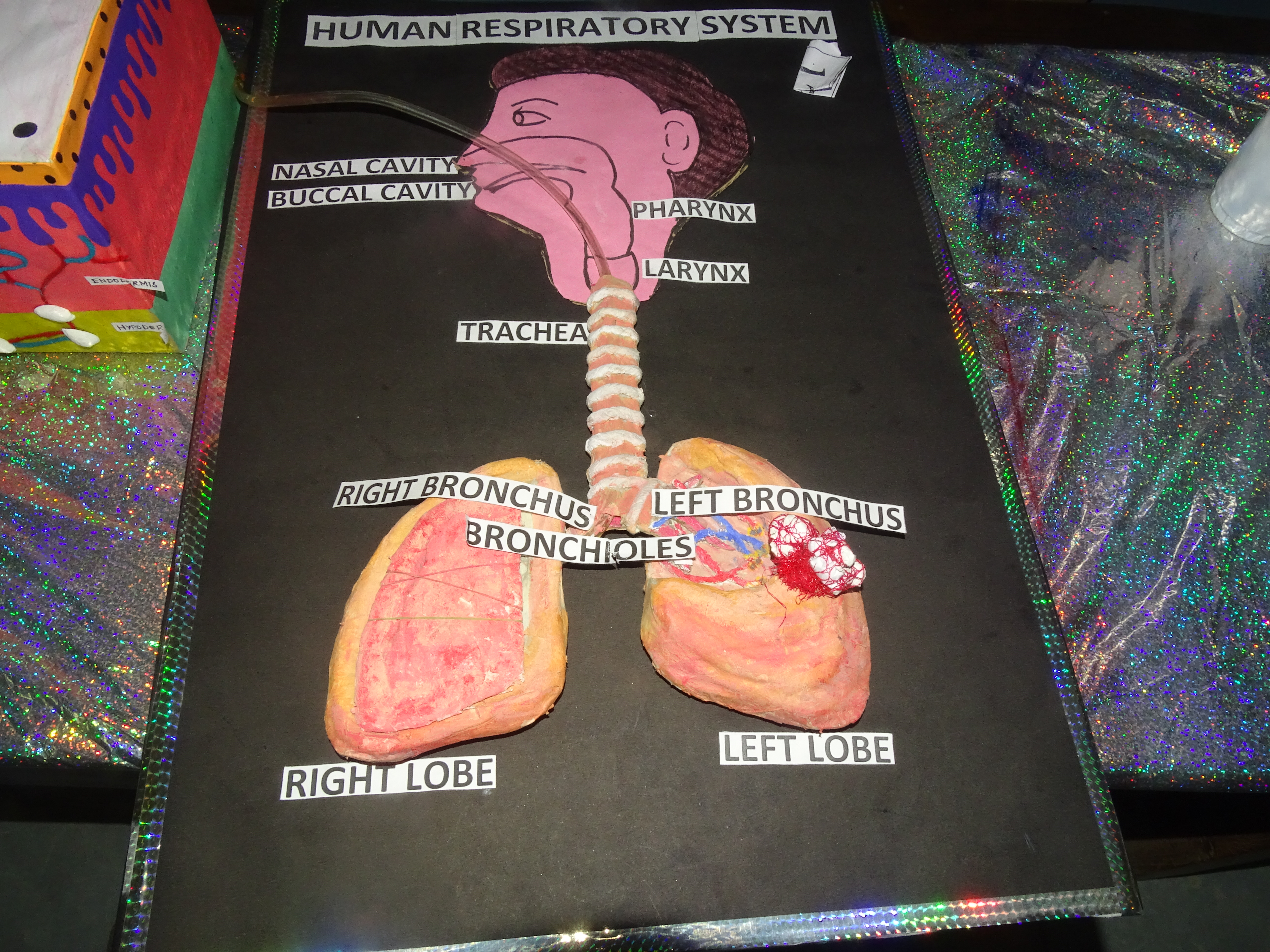 Science Exhibition Photo 45